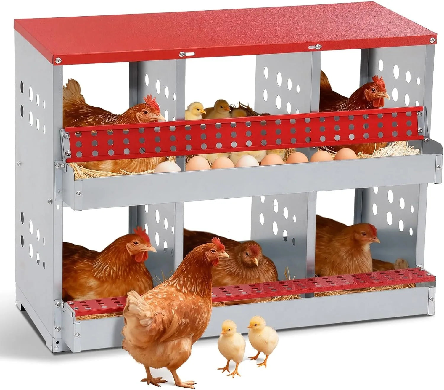 Chicken Nesting Boxes for Chicken Coop, 6 Compartments Wall-mountable.