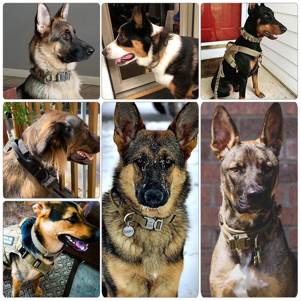 Tactical Training Collar And Leash Set