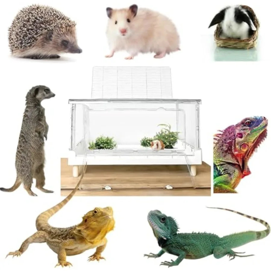 Hamster, Guinea Pig, Gerbil and Hedgehog Dwarf Habitat,