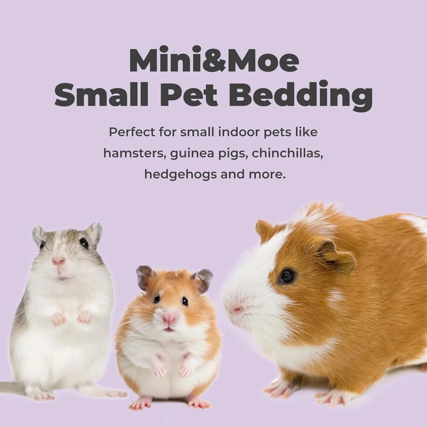 Small Pet Bedding Odor Control Dust-Free Moisture Absorbent]