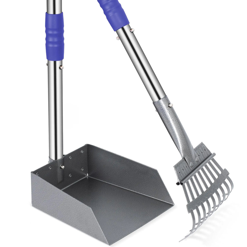 Pooper Scooper Tray and Rake Set