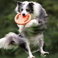 Flying Disc Dog Training Toy