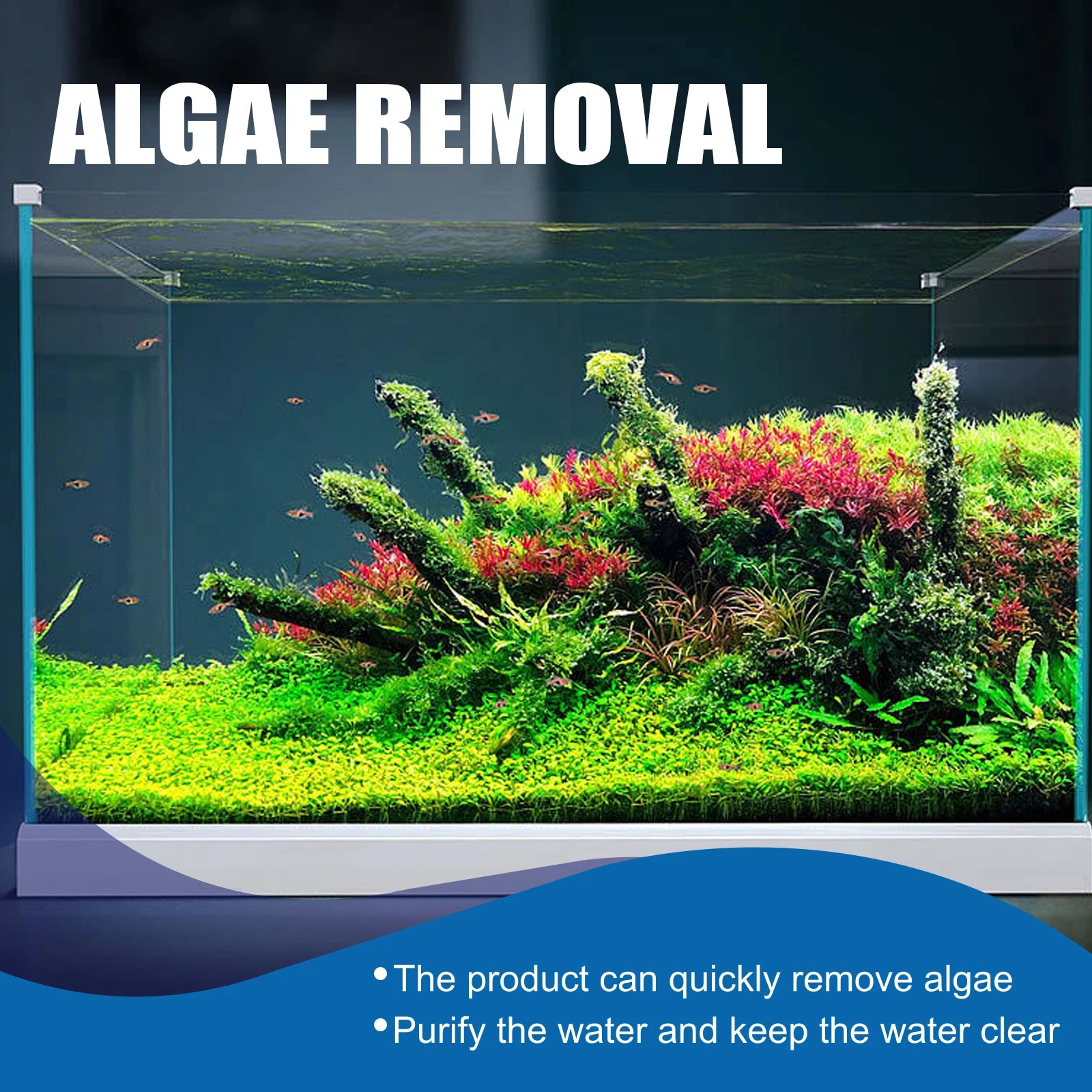 Algae and Moss Remover Aquarium Cleaning