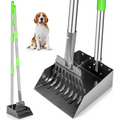 Scooper With Long Handle and Stainless Metal Tray and Rake