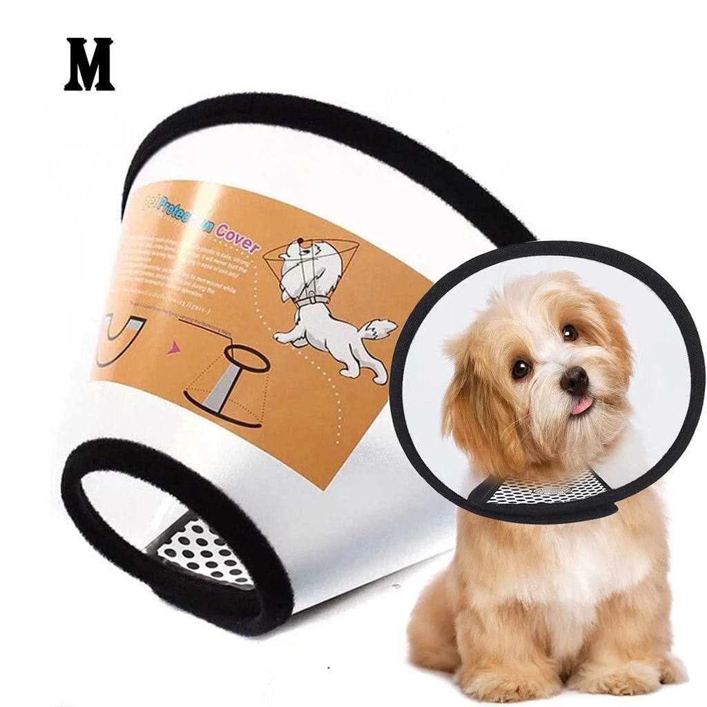 Elizabethan Collar for Dogs
