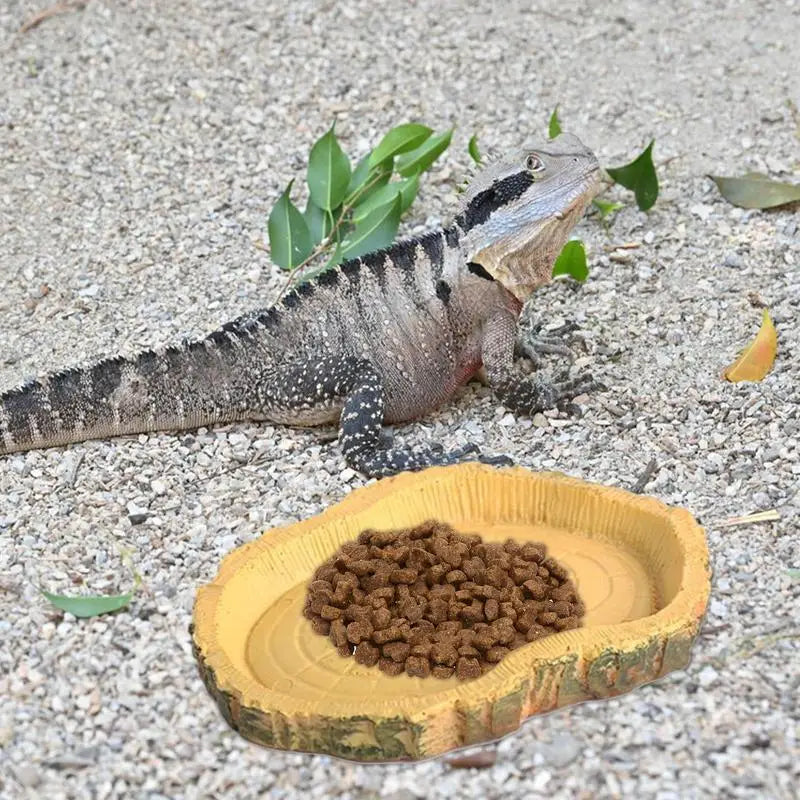 Feeding Dishes Shallow And Flat Reptile Feeding Bowl