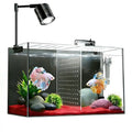 Fish Aquarium with Separator Plate for Betta with Filter and Led Light,