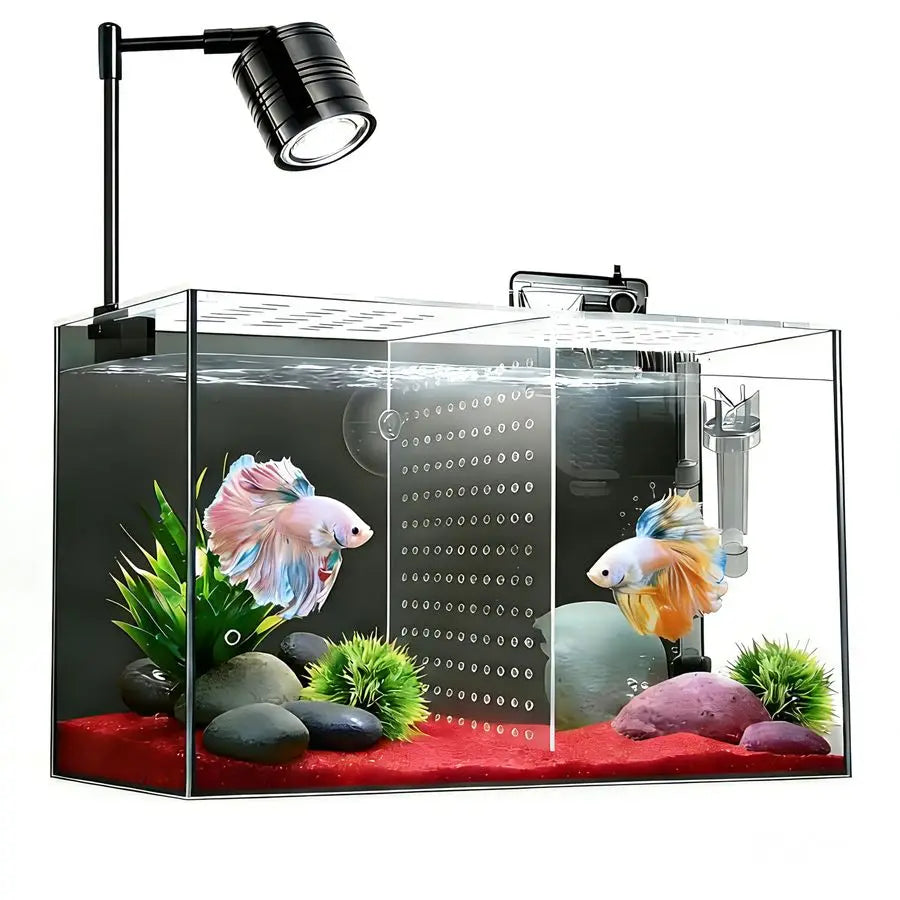 Fish Aquarium with Separator Plate for Betta with Filter and Led Light,