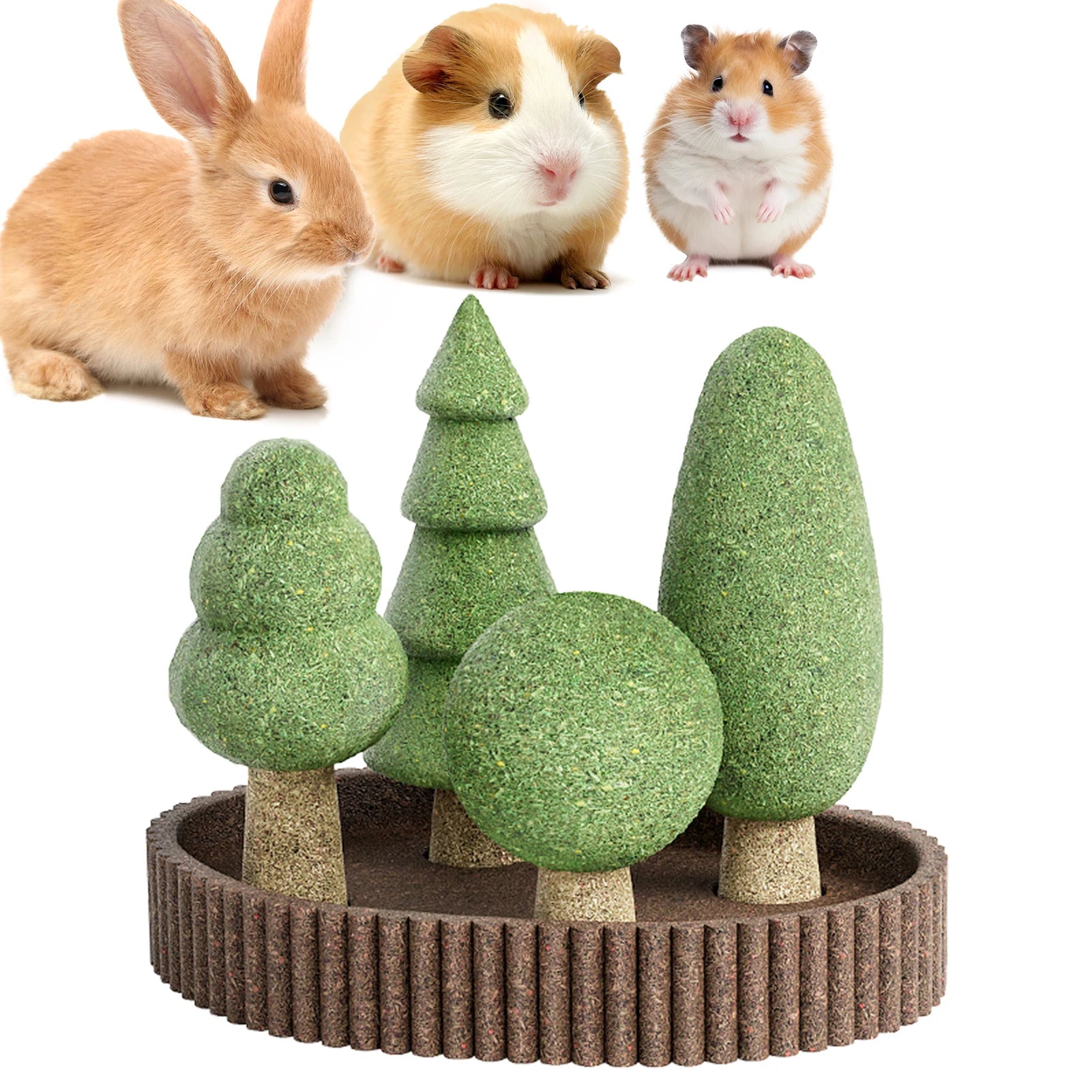 Guinea Pig/Rabbit /Chinchilla/Rat/Gerbils Dental Health