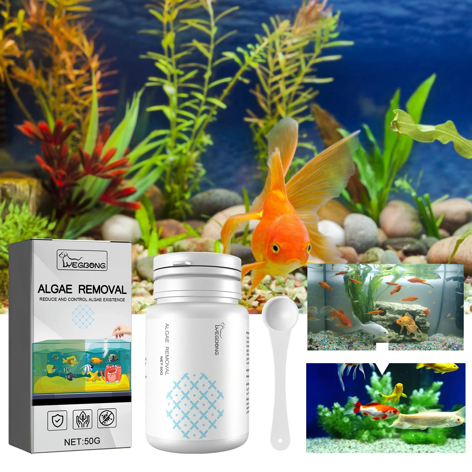 Algae and Moss Remover Aquarium Cleaning