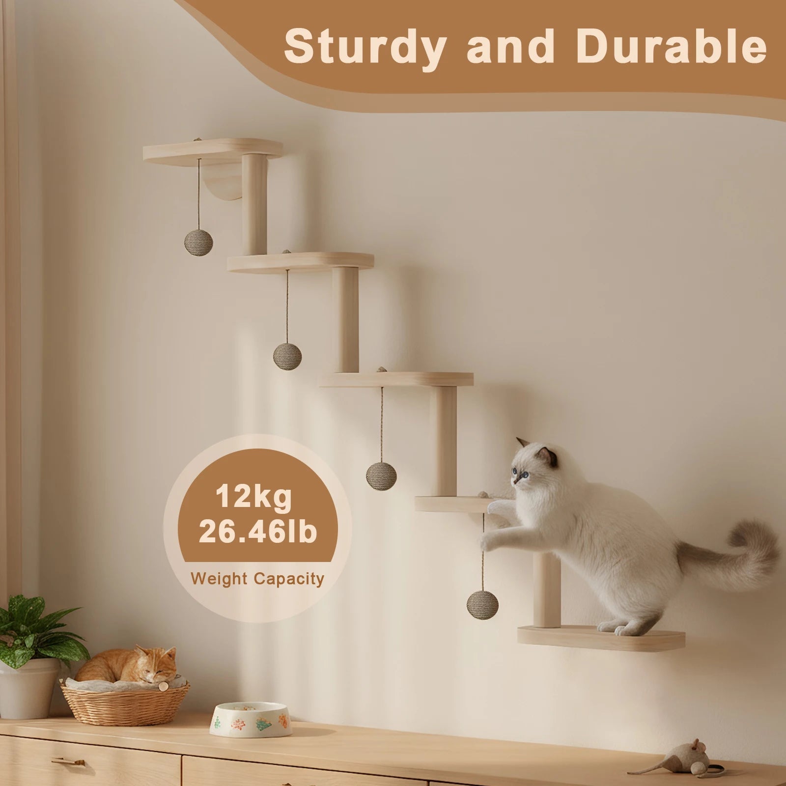 Wall Mounted  Shelve for Sleeping Playing Cat Furniture