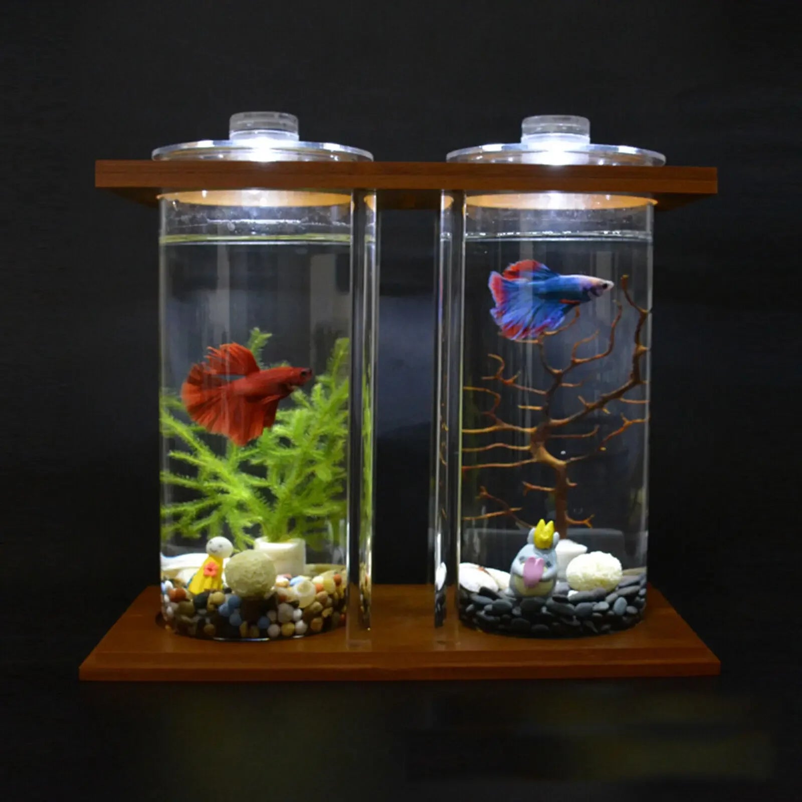 Glass Betta Fish Tank with LED Light Bamboo Base Mini Aquarium Set