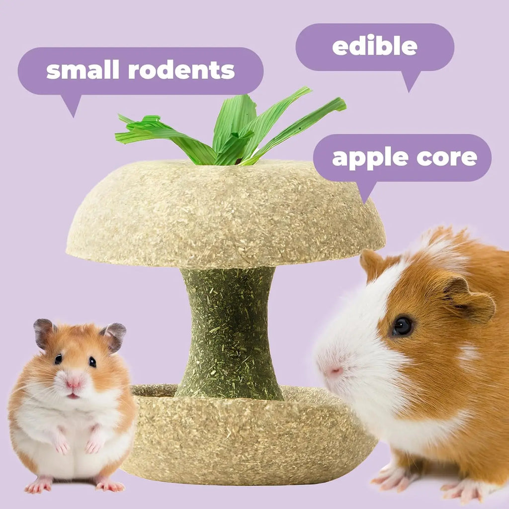 Apple Core Shaped Hamster, Guinea Pig, Rabbit, Chinchilla, Rat- Chew Toy