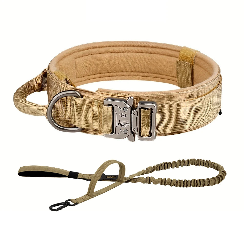 Tactical Training Collar And Leash Set