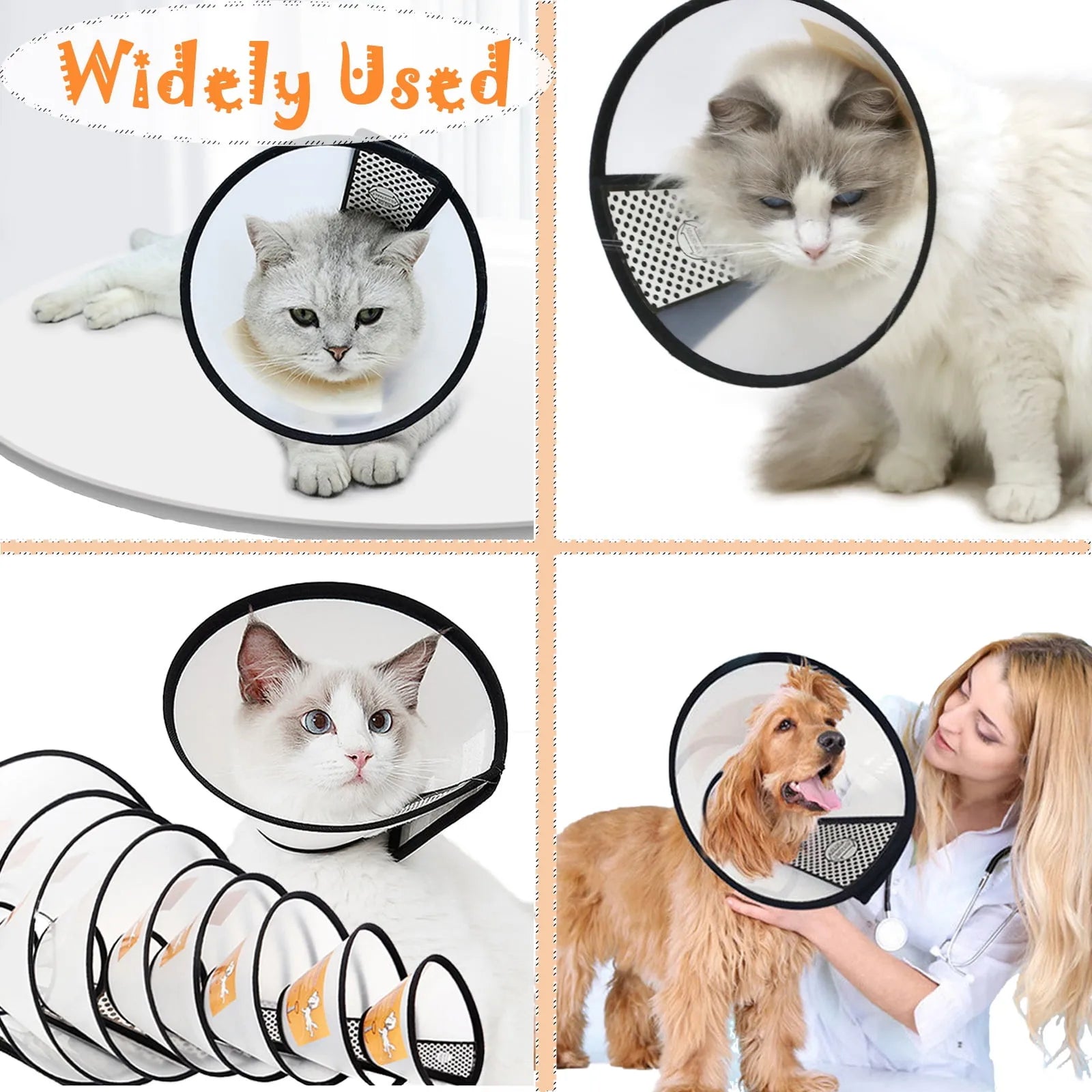 Elizabethan Collar for Dogs