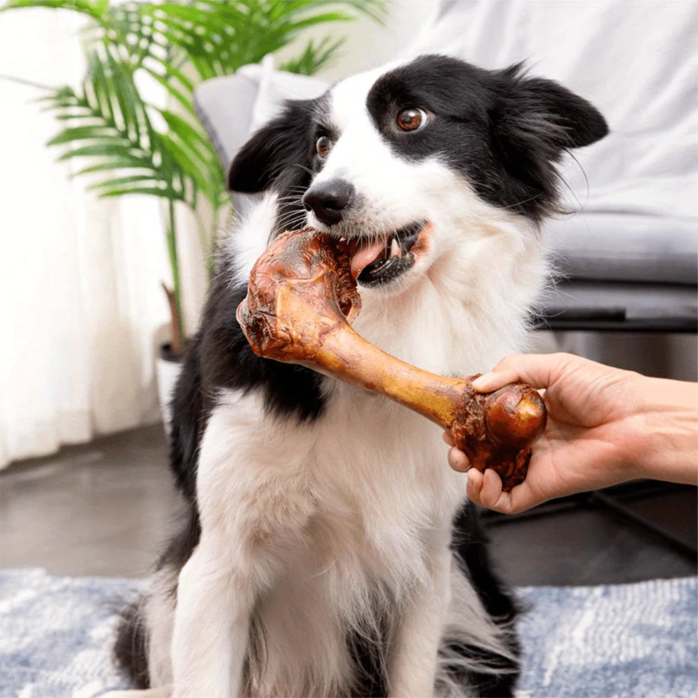 Middle Large Cow Bone, All Natural Ingredients, Natural Dog Treats.