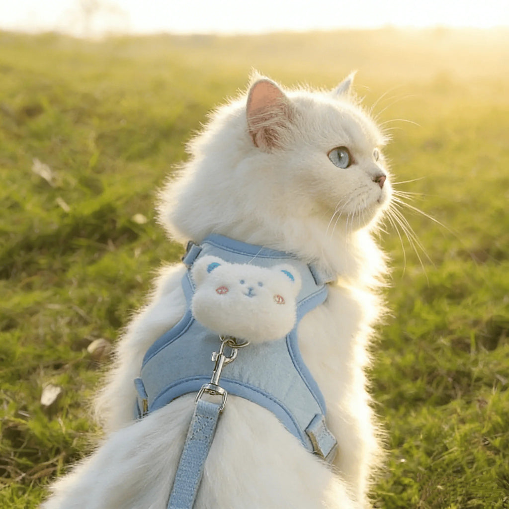 Cute Animal Harness Leash Set