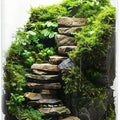 Terrarium with Grow Light - Succulent Moss, Fish Tank, Indoor Plant Growth