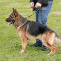 Military Leashes , Adjustable Leash , Quick Release,  Elastic Rope