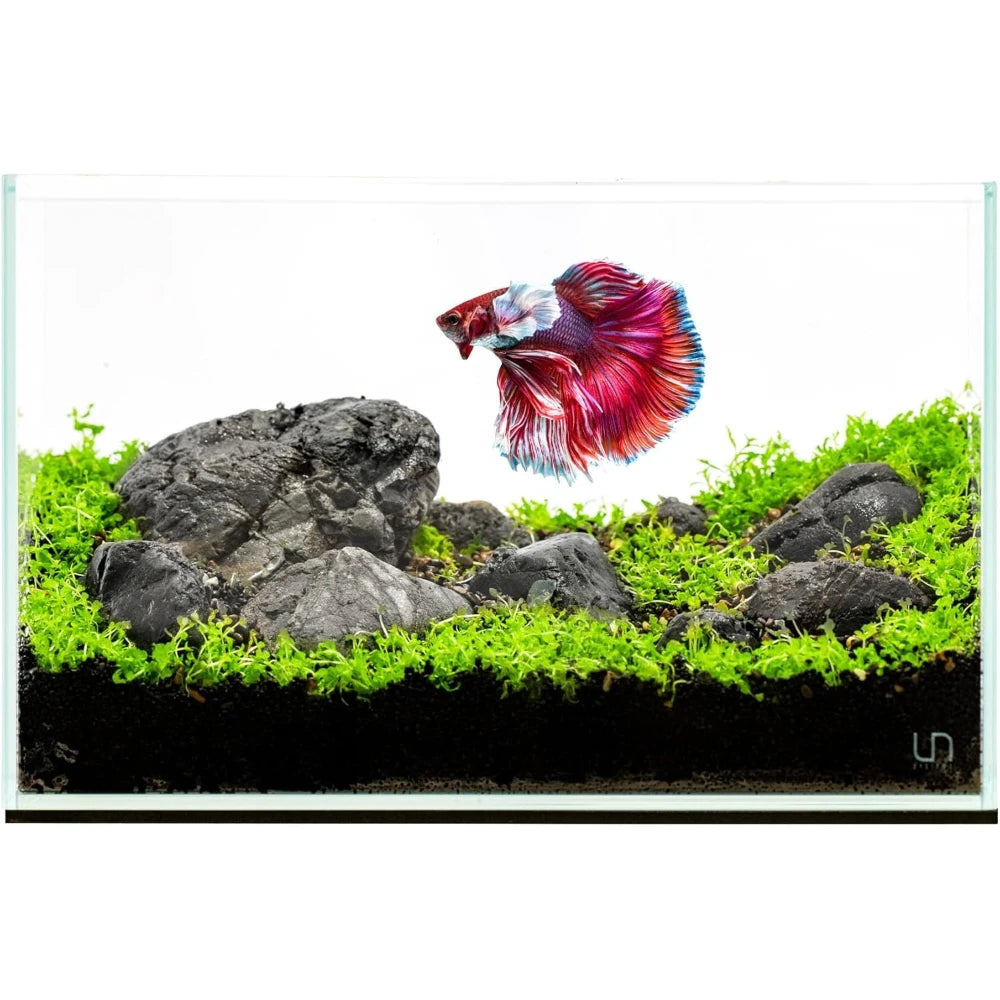 Ultra Clear Rimless Nano Aquarium 5 Gallon . Low Iron Glass Tank.