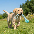 Cotton Rope & Rubber Dog Chew Ball, Treat Dispenser Toy.