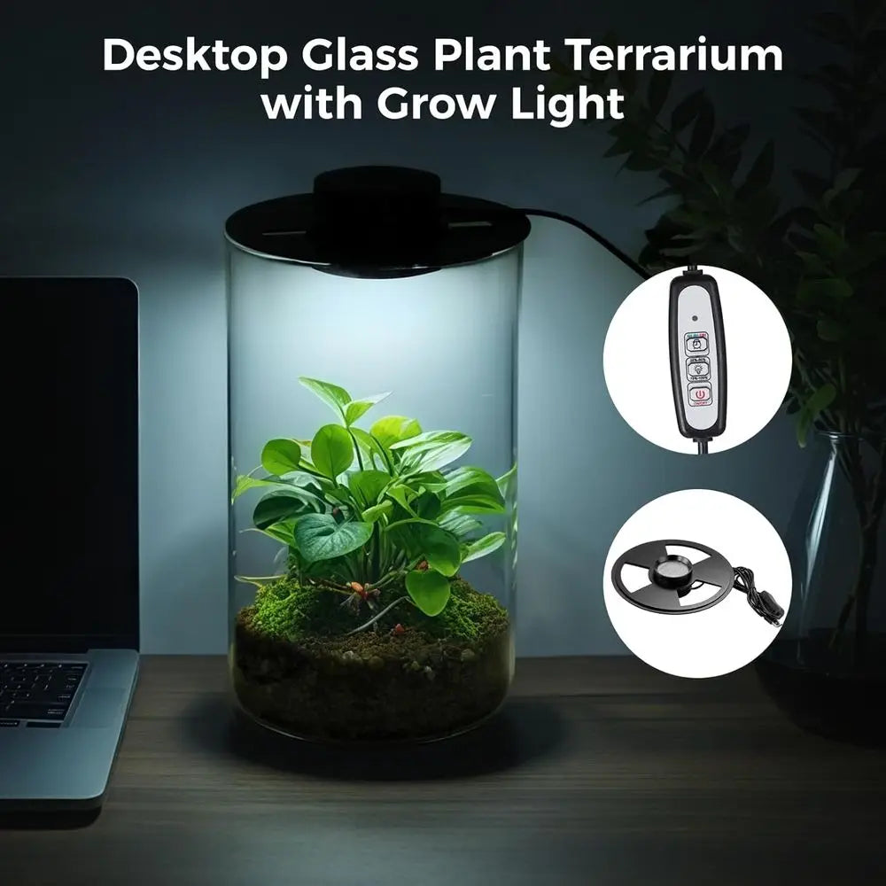 Terrarium with Grow Light - Succulent Moss, Fish Tank, Indoor Plant Growth