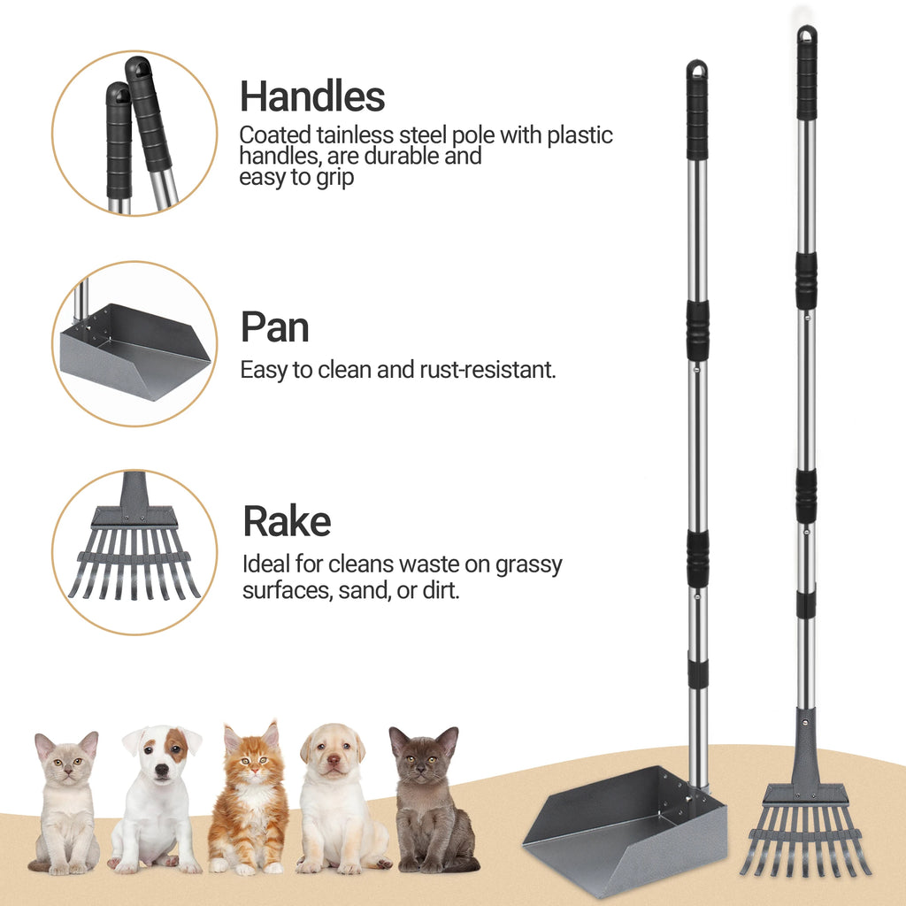 Pooper Scooper Tray and Rake Set