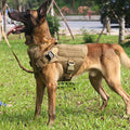 Large Dog Harness And Leash Set ,Training ,Walking Vest