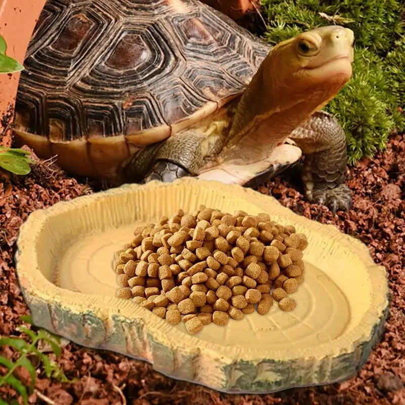 Feeding Dishes Shallow And Flat Reptile Feeding Bowl