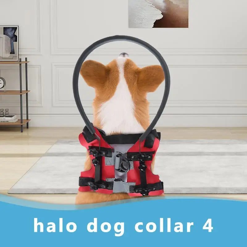 Blind Collision Protector, Improves Pets Life, Lightweight Adjustable