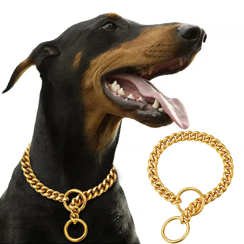 Stainless Metal Gold Walking Collar for Training