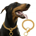 Stainless Metal Gold Walking Collar for Training