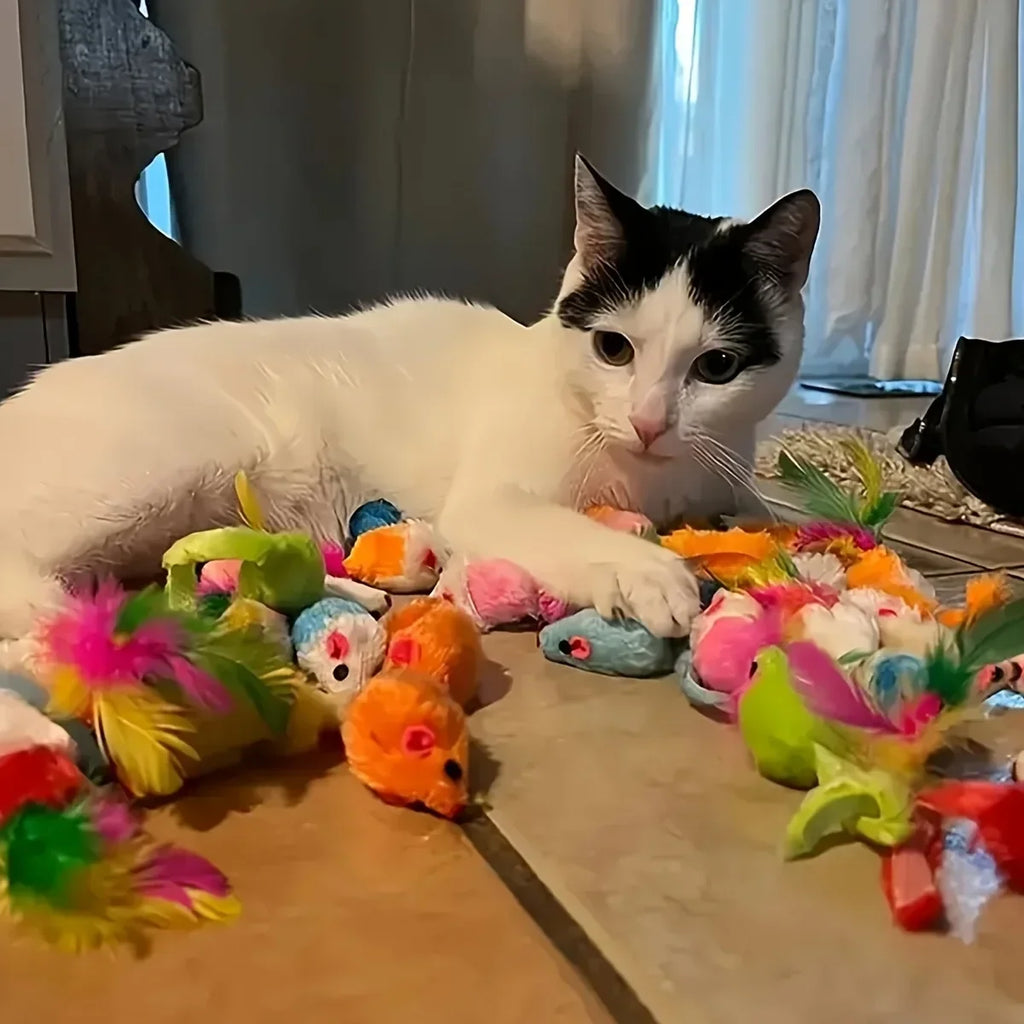 Cat Toys Mixed Pack. A Combination of Various Plastic ,Plush Toys