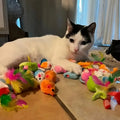 Cat Toys Mixed Pack. A Combination of Various Plastic ,Plush Toys