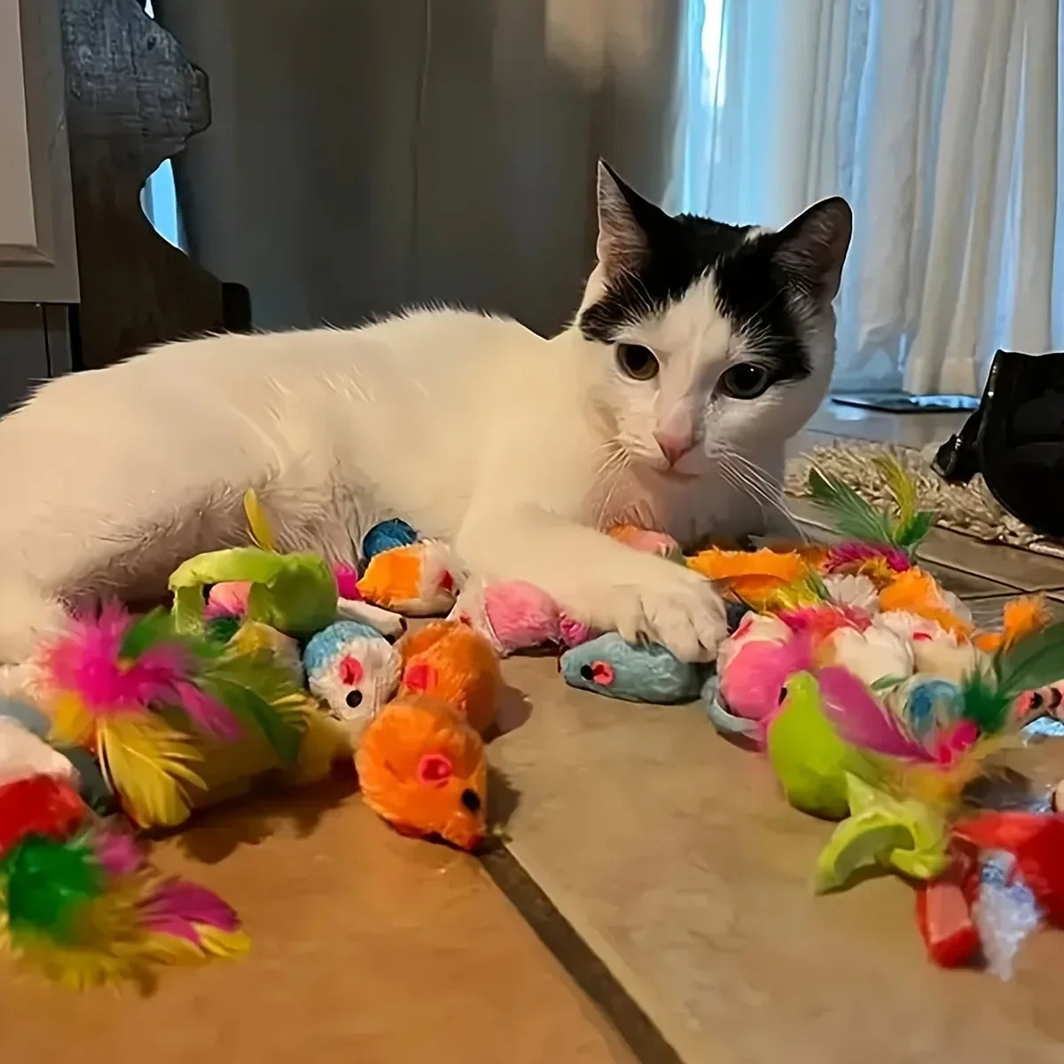 Cat Toys Mixed Pack. A Combination of Various Plastic ,Plush Toys