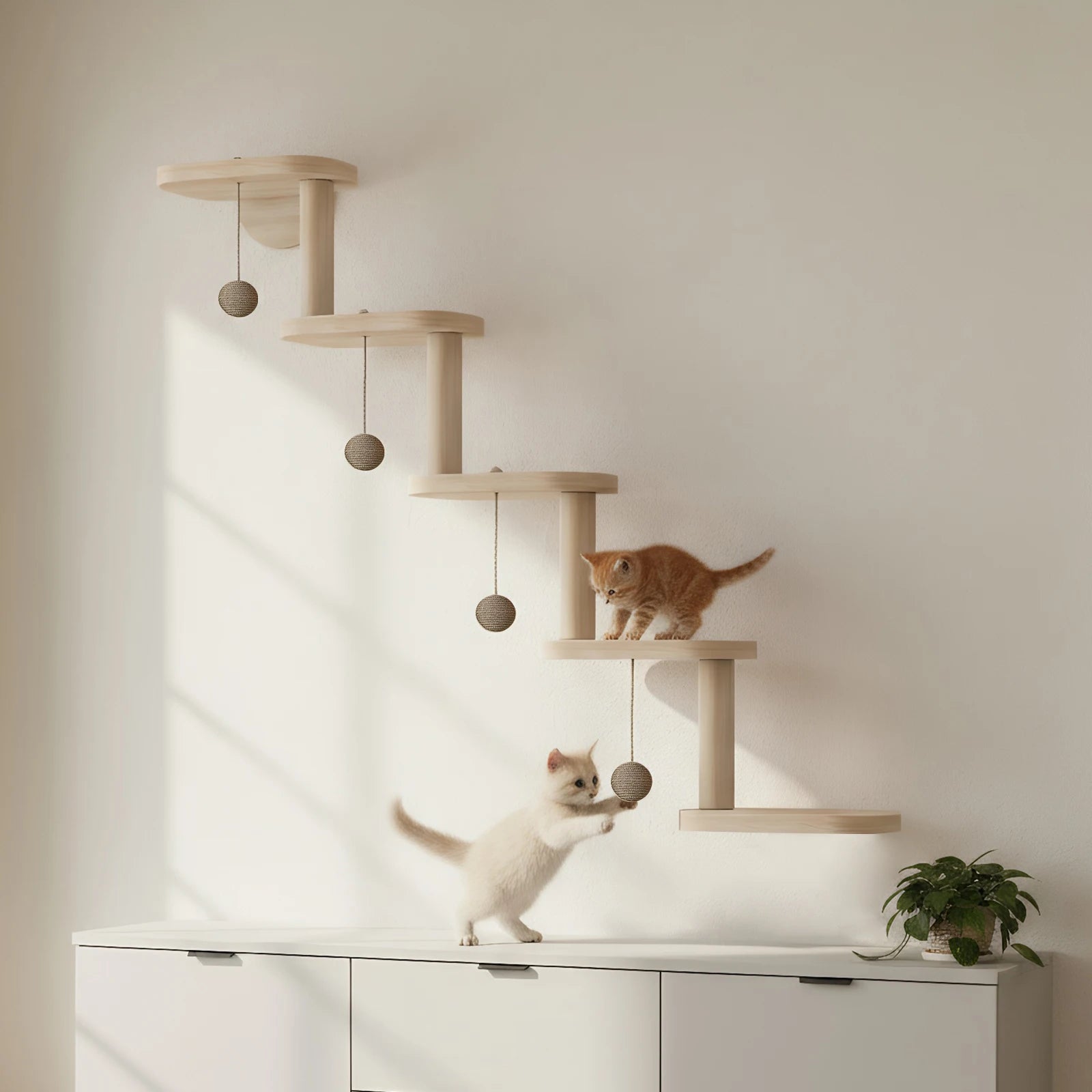 Wall Mounted  Shelve for Sleeping Playing Cat Furniture