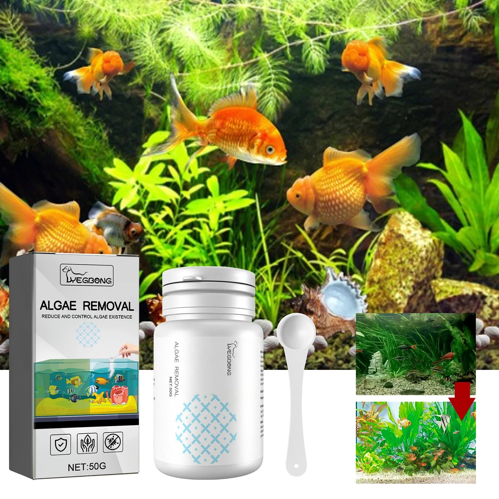 Algae and Moss Remover Aquarium Cleaning