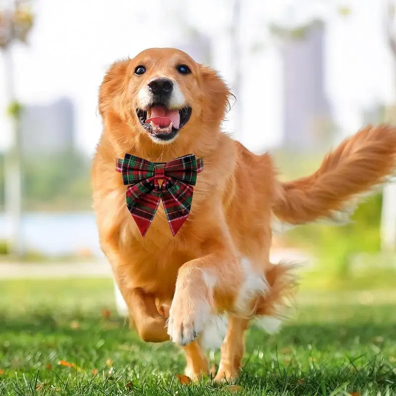 Pet Collars Dog Bow Tie Cute Adjustable