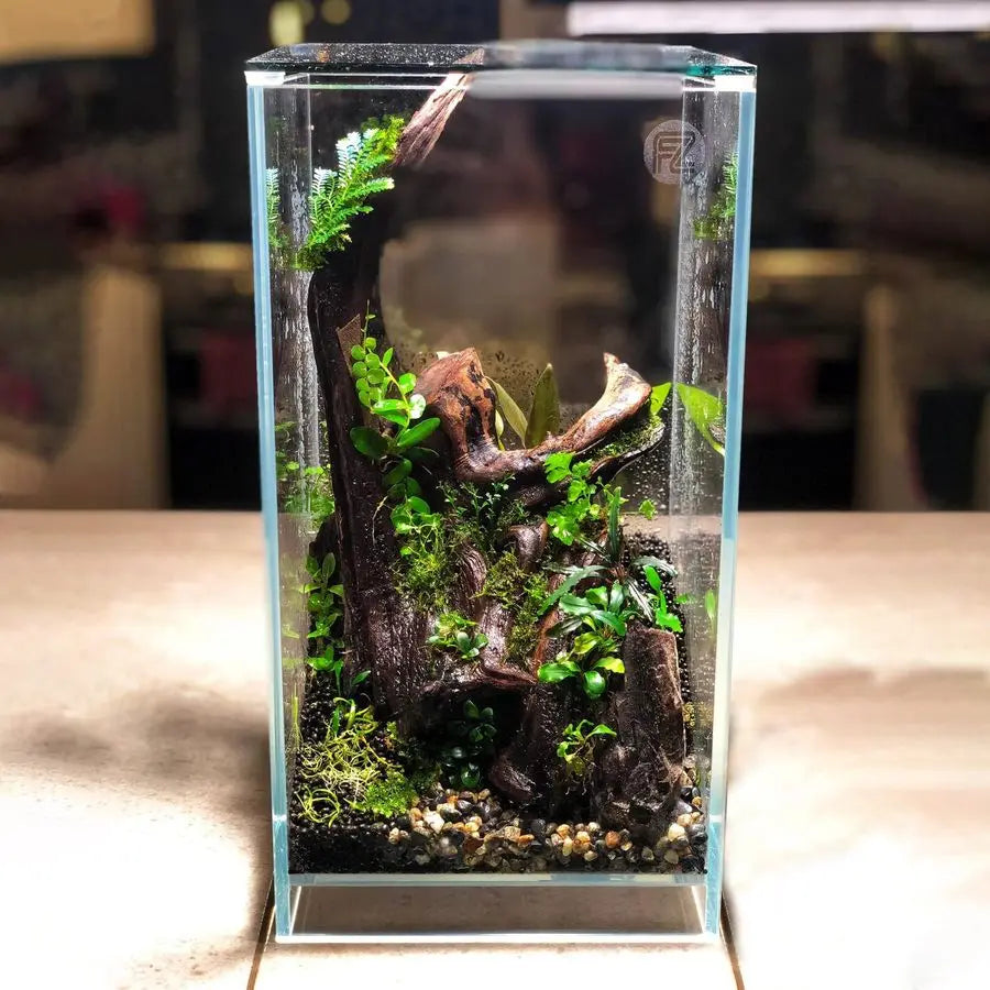 2 Gal Nano Rimless Aquarium Low Iron Fish Tank