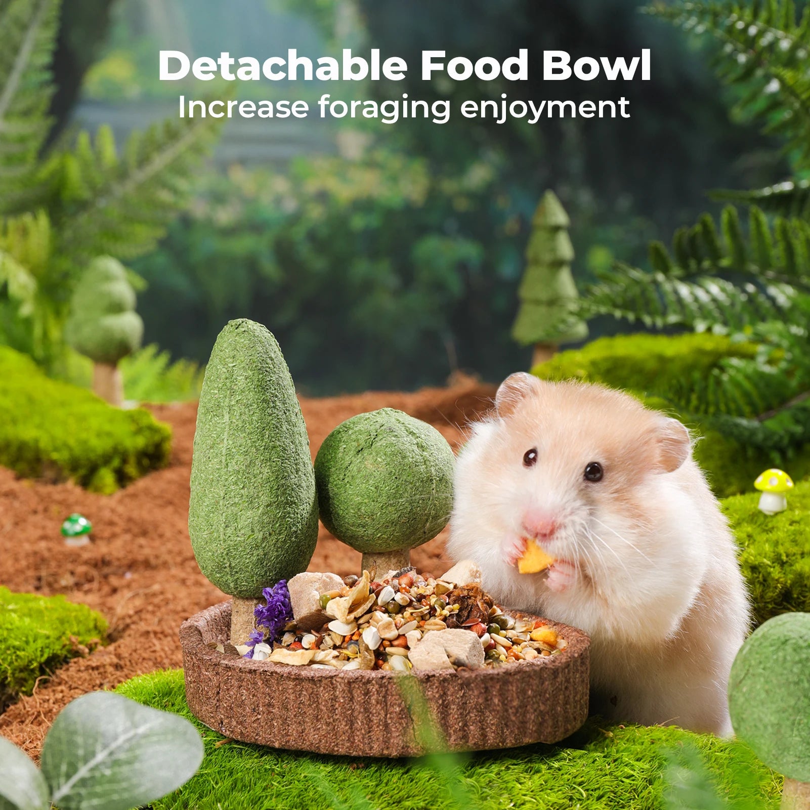Guinea Pig/Rabbit /Chinchilla/Rat/Gerbils Dental Health