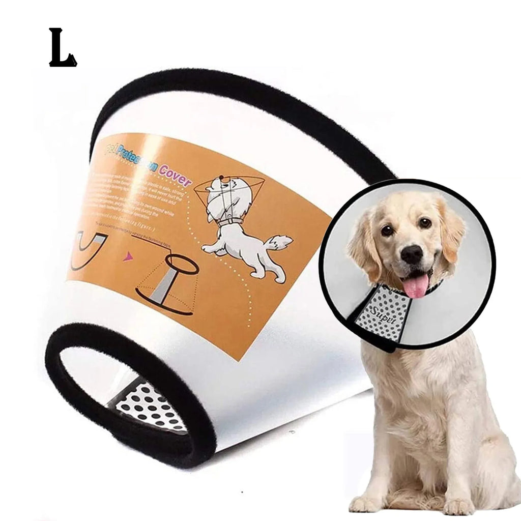 Elizabethan Collar for Dogs