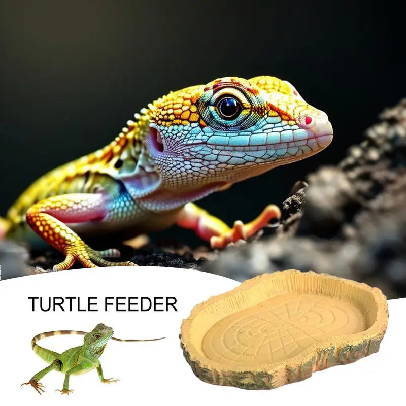 Feeding Dishes Shallow And Flat Reptile Feeding Bowl