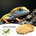 Feeding Dishes Shallow And Flat Reptile Feeding Bowl