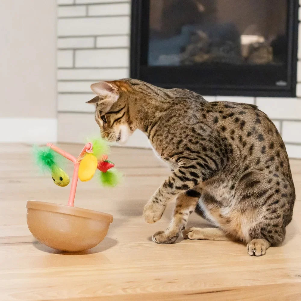 Wobbling Fruit Bowl with 5 Interactive Catnip Jingle Ball