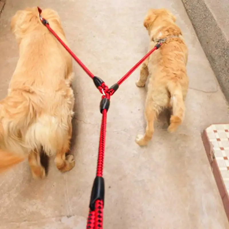 Double Leash , Elastic Extended Leash. for Two