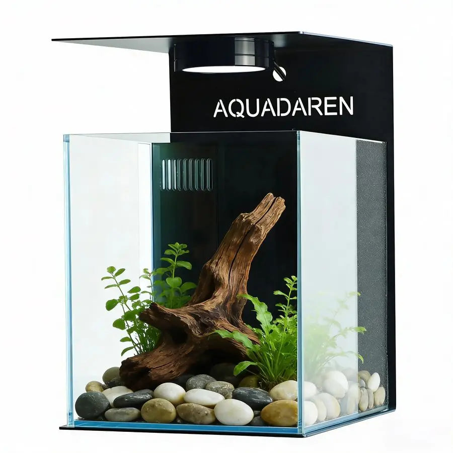 Betta Fish Aquarium