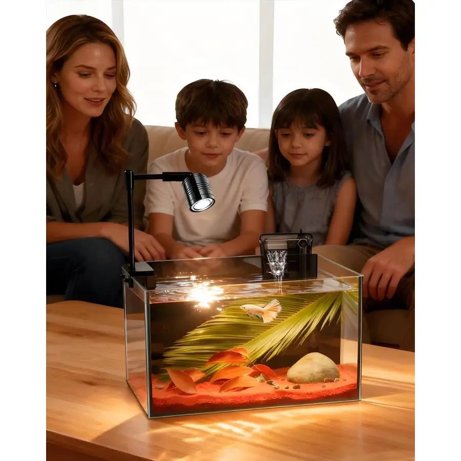 Fish Aquarium with Separator Plate for Betta with Filter and Led Light,