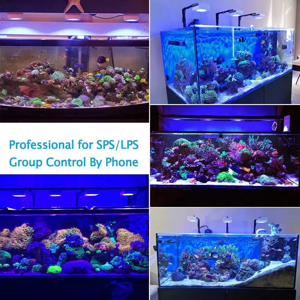 Reef Light Aquarium, Saltwater Coral Growing Marine Aquarium Tank Lamp
