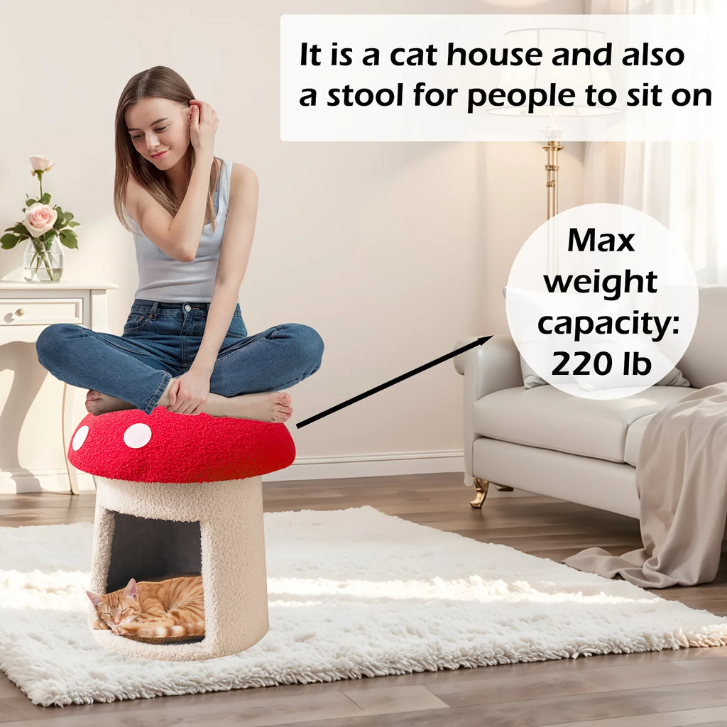 Mushroom Cat Bed , Chocolate Mat, with Removable and Washable Cushion Pillow