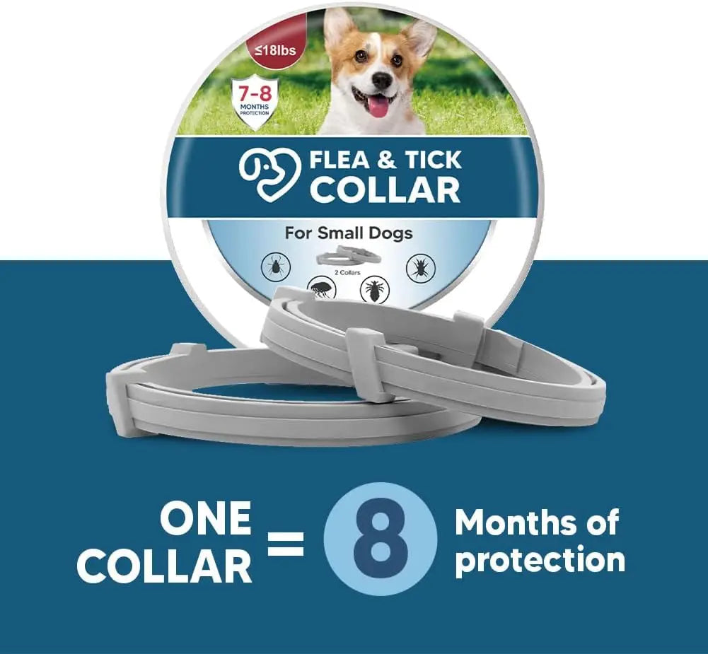 Small Dog Flea & Tick Collar Lasts Up to 8 Months